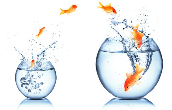 Changement d'aquarium