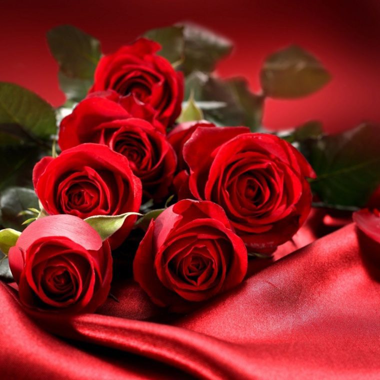 Bouquet de roses rouges