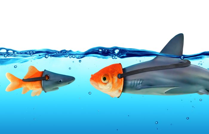 Poisson rouge et requin déguisés