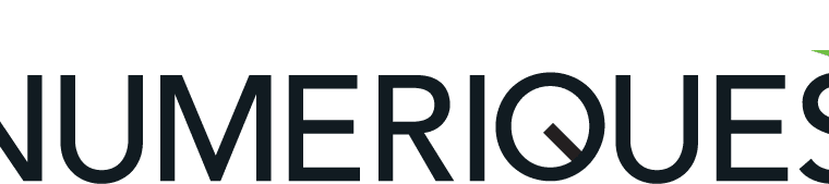 Logo Les Numériques