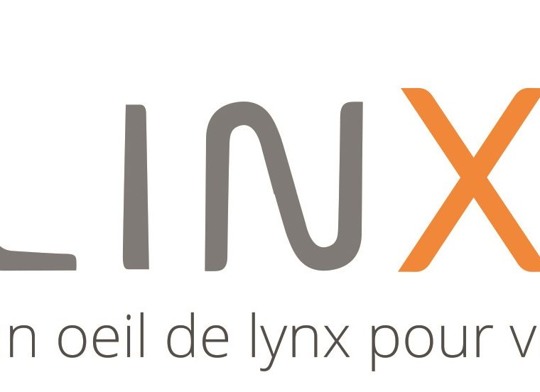 Logo LINXEA old version