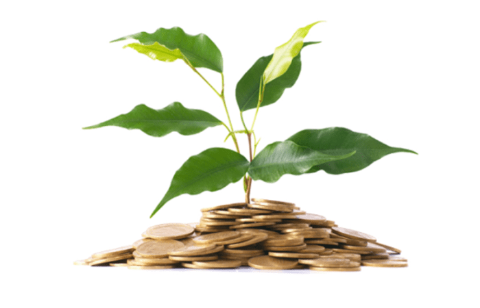 Actualités assurance vie